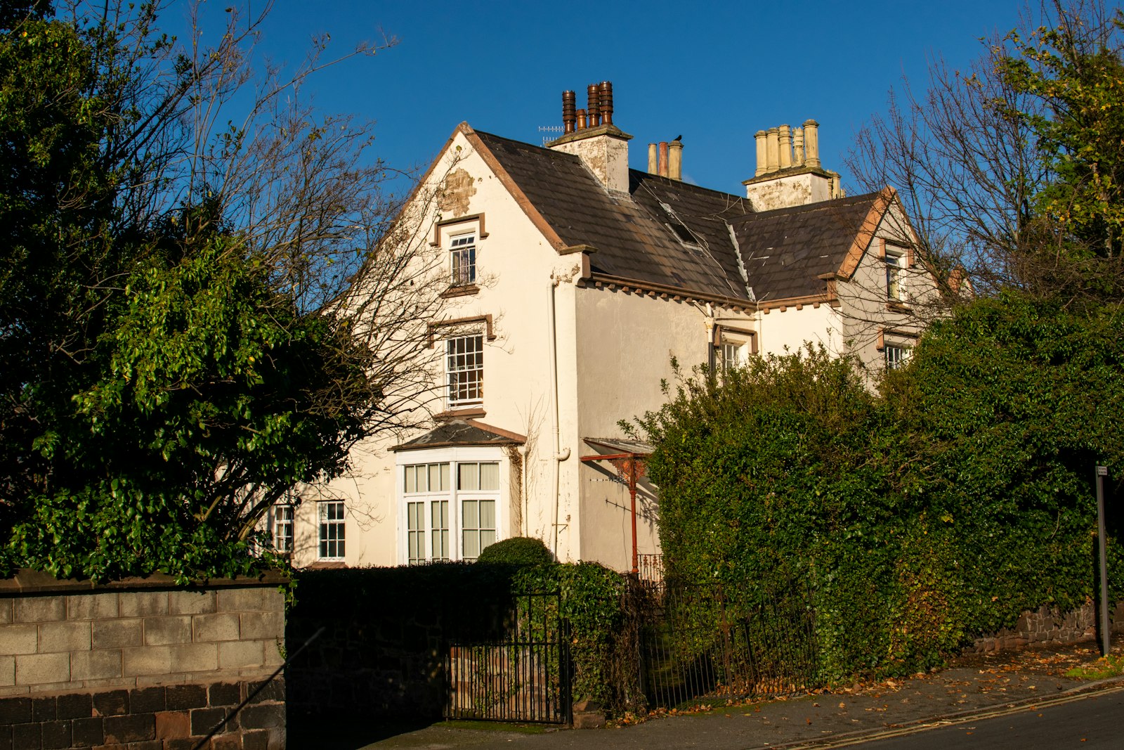 Professional roofing project 1